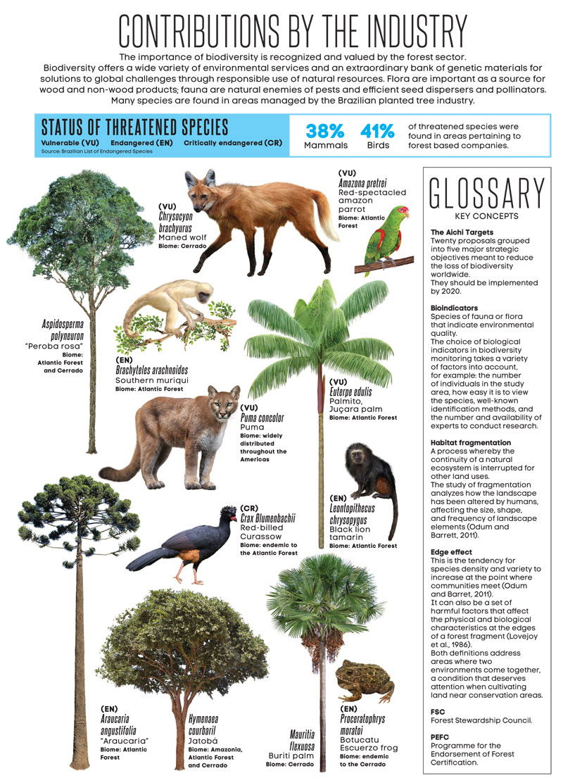 Infographics: Planted Trees and Biodiversity - Global Landscapes Forum