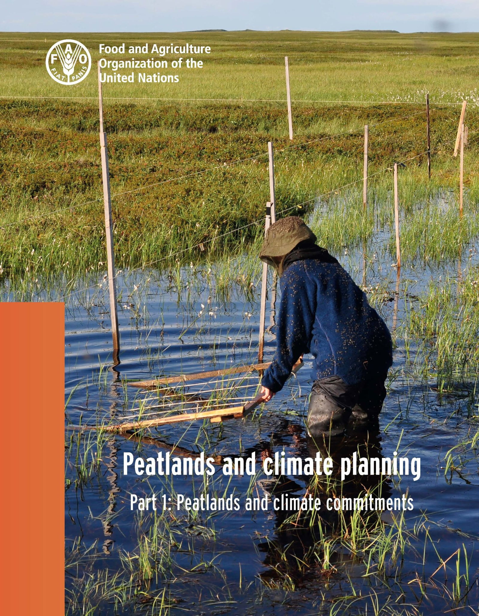 Peatlands and climate planning