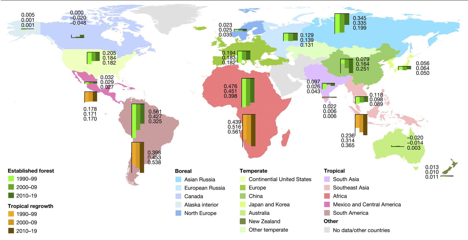 The enduring world forest carbon sink